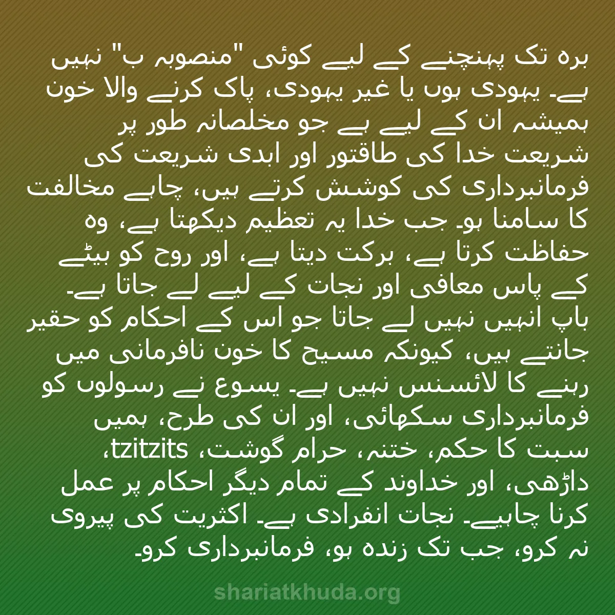 b0296 - شریعت خدا پر ایک پوسٹ: برہ تک پہنچنے کے لیے کوئی "منصوبہ ب" نہیں ہے۔ یہودی ہوں یا غیر...